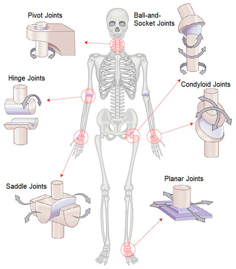 New Method for Reduced-Number IMU Estimation in Observing Human Joint ...