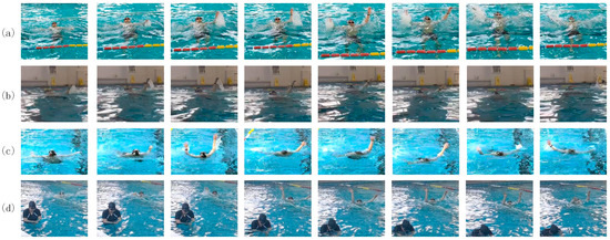 MS-YOLO: A Lightweight and High-Precision YOLO Model for Drowning Detection