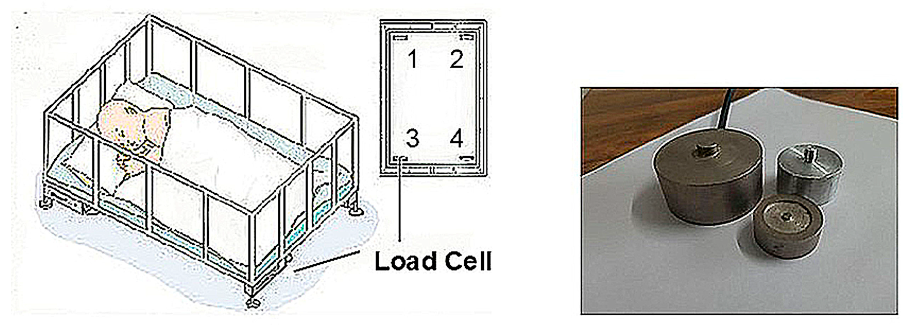 Unobtrusive Bed Monitor State of the Art