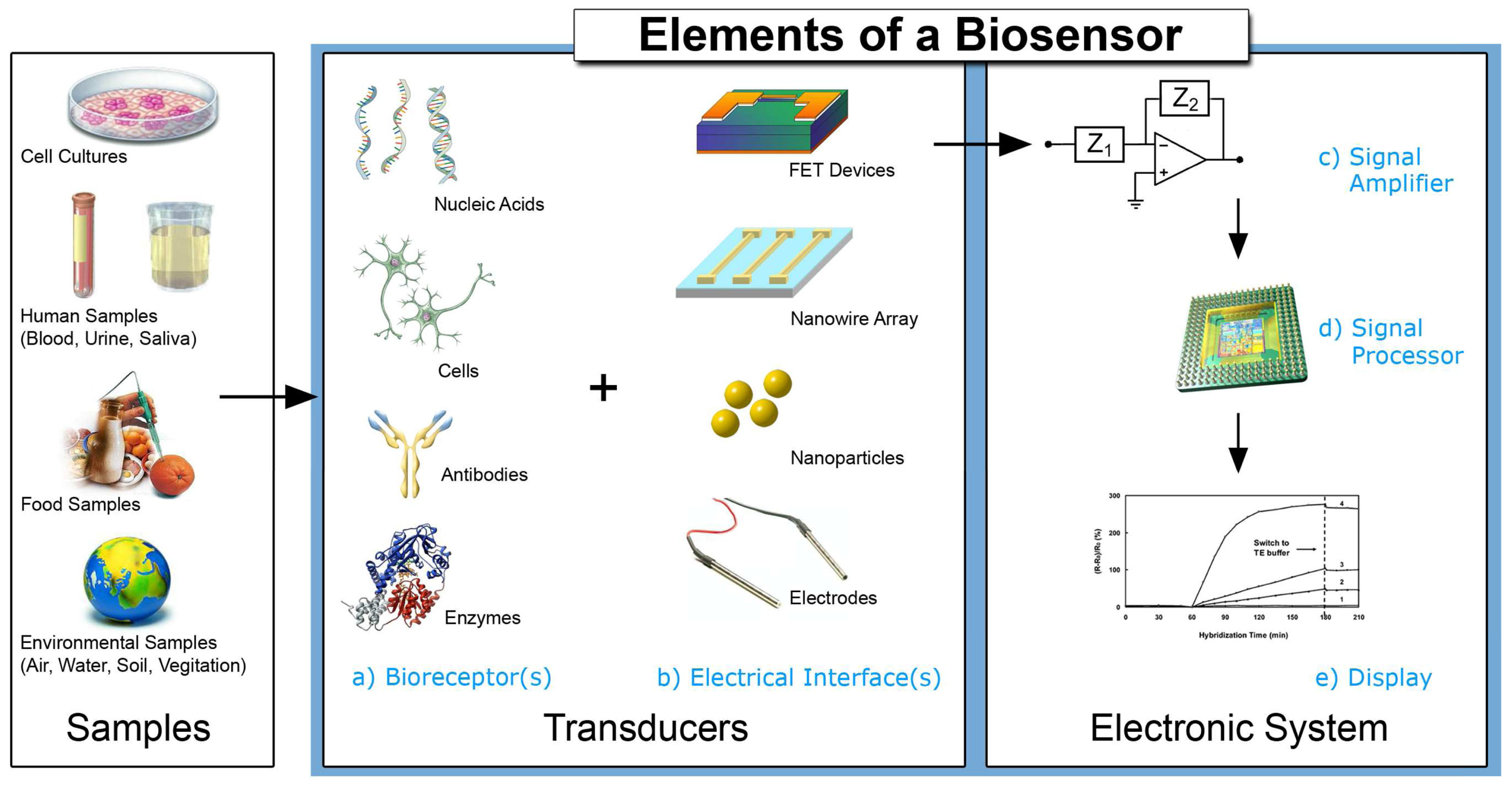 Recent Advances and Unaddressed Challenges in Biomimetic Olfactory- and ...