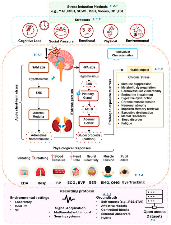 An Overview of Stress Analysis Based on Physiological Signals