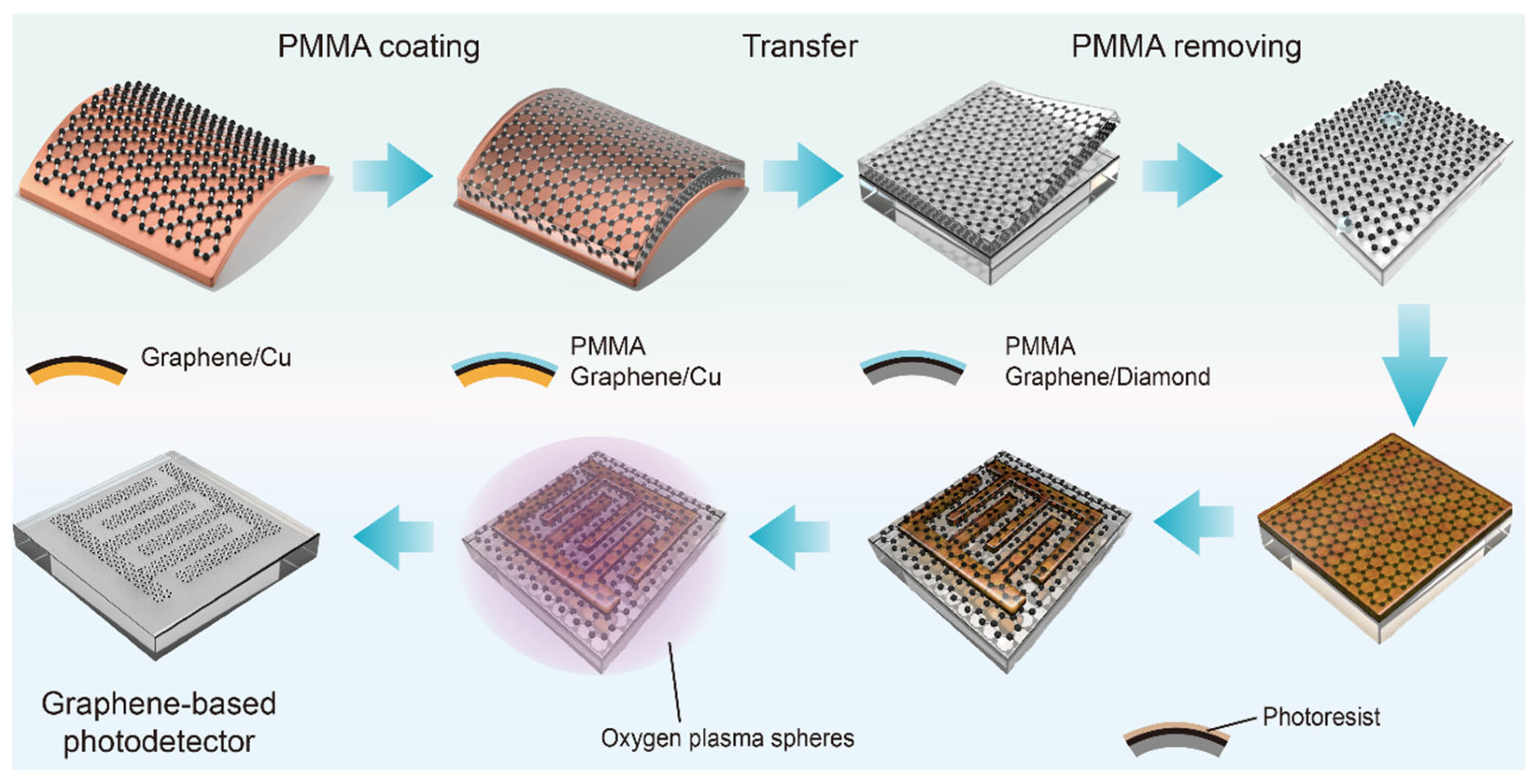 カラム*· Dynamic Barrier Modulation in Graphene–Diamond Schottky Interfaces