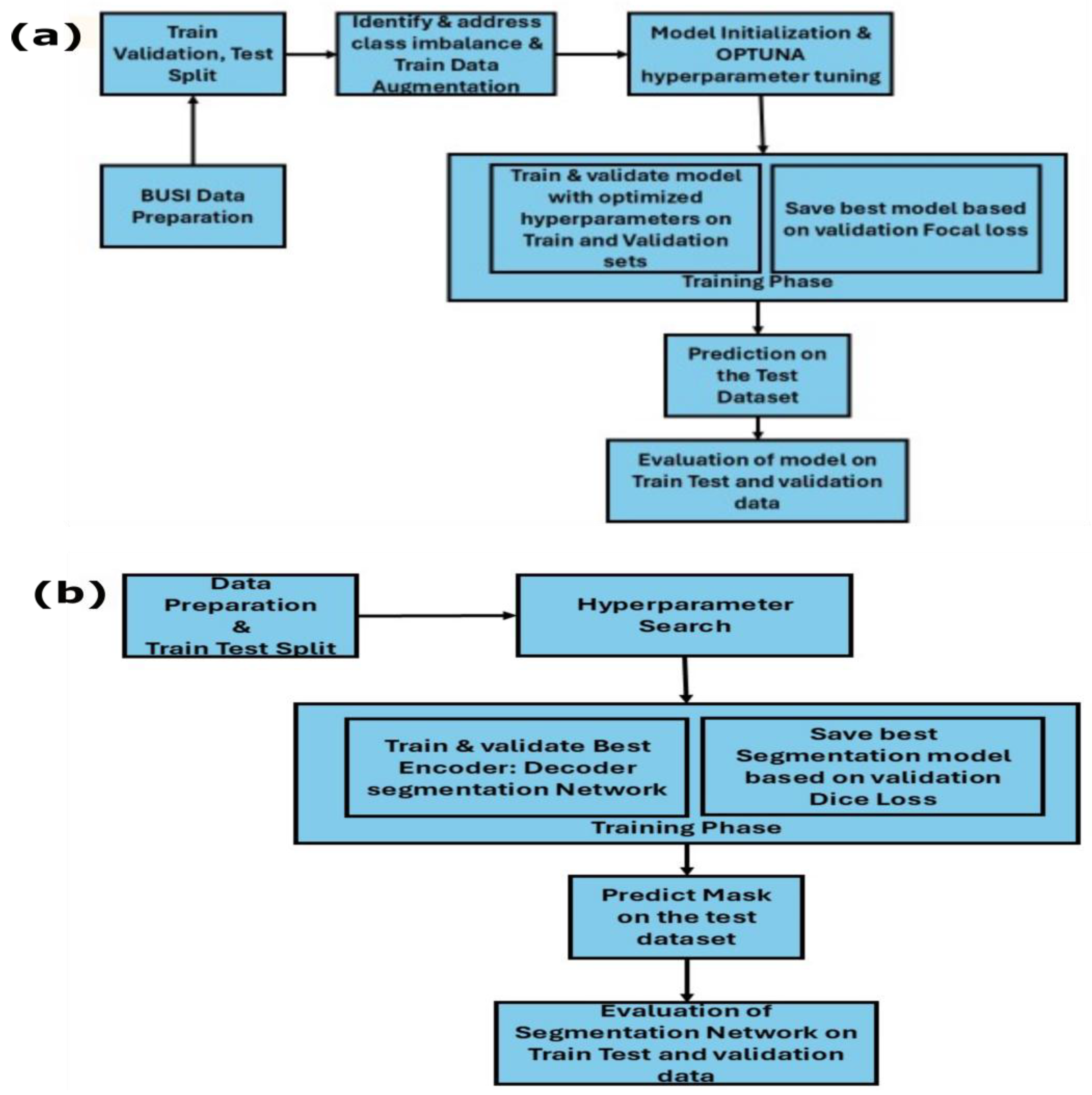 Deep Learning for Tumor Segmentation and Multiclass Classification in ...
