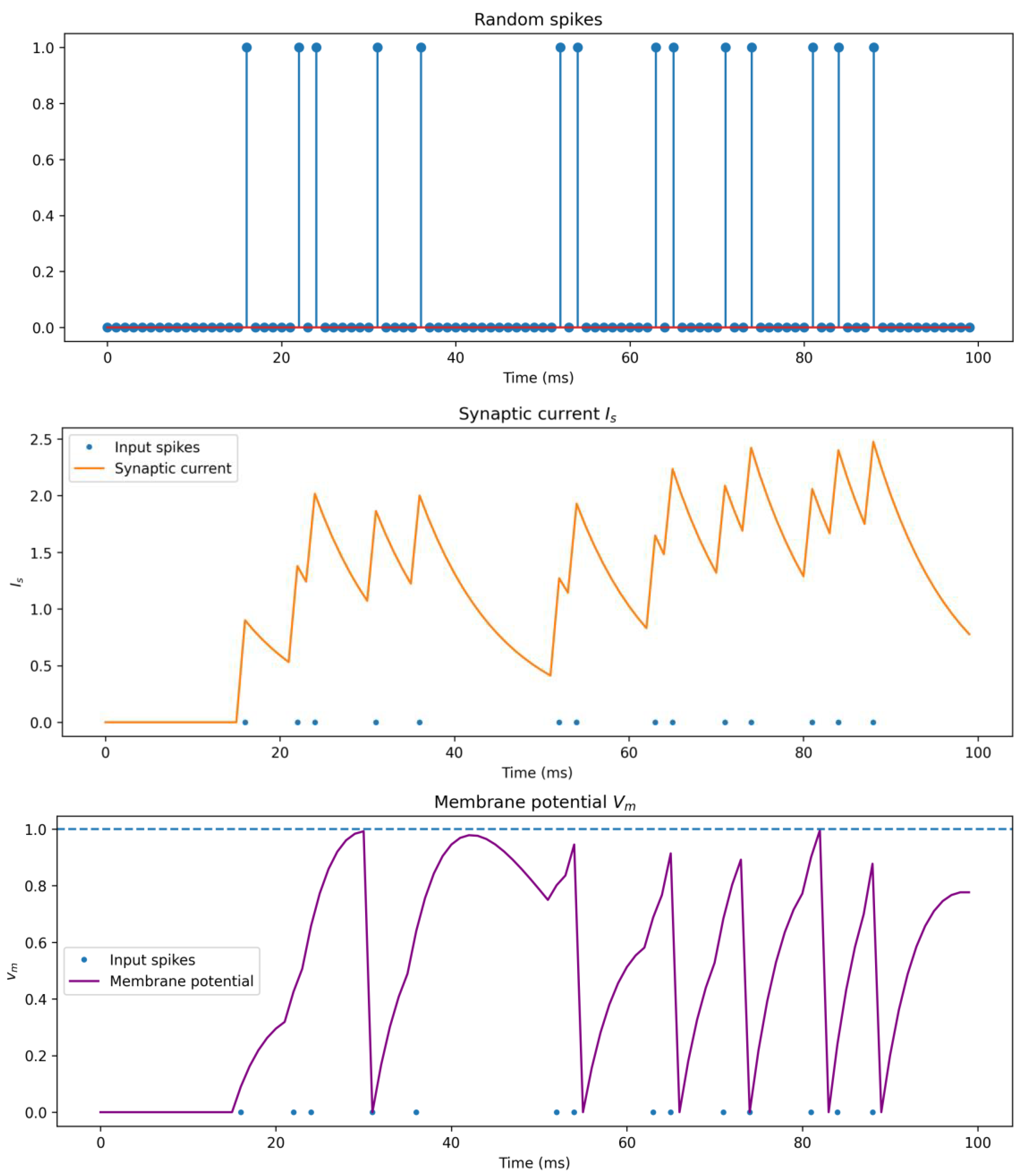 Exploring Quantum-Inspired Encoding Strategies in Neuromorphic Systems ...