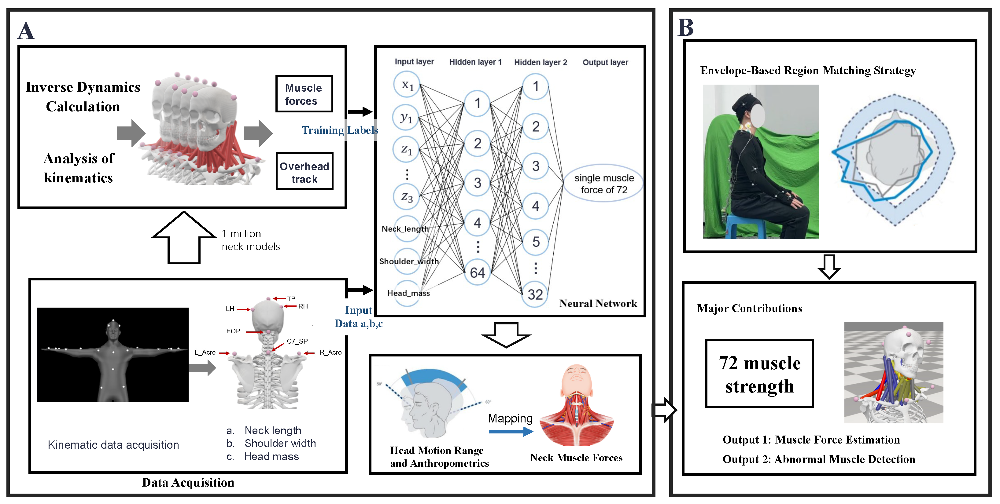 From Simplified Markers to Muscle Function: A Deep Learning Approach ...