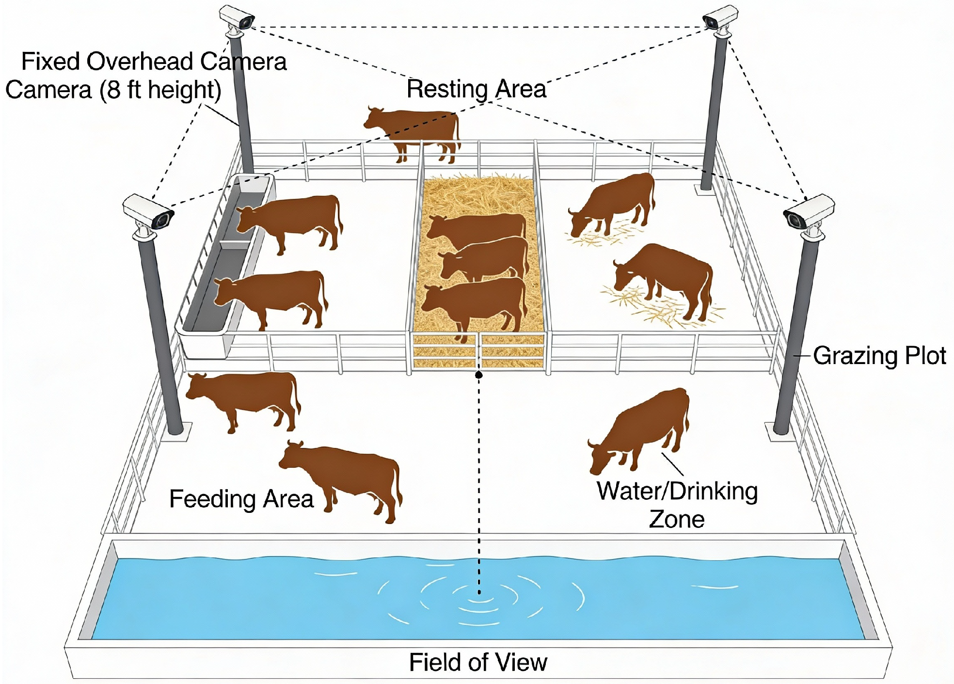 Cattle Farming Activity Monitoring Using Advanced Deep Learning Approach