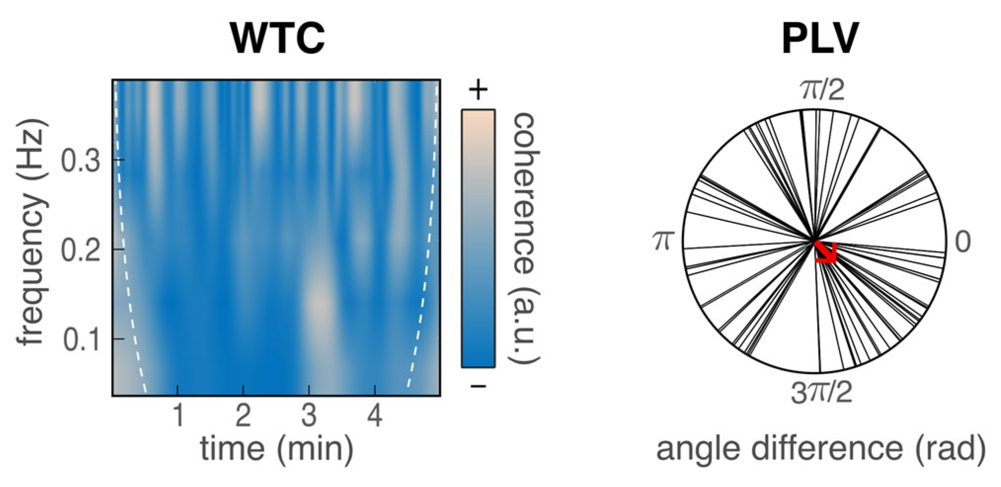 Validity of the Polar H10 for Continuous Measures of Heart Rate and ...