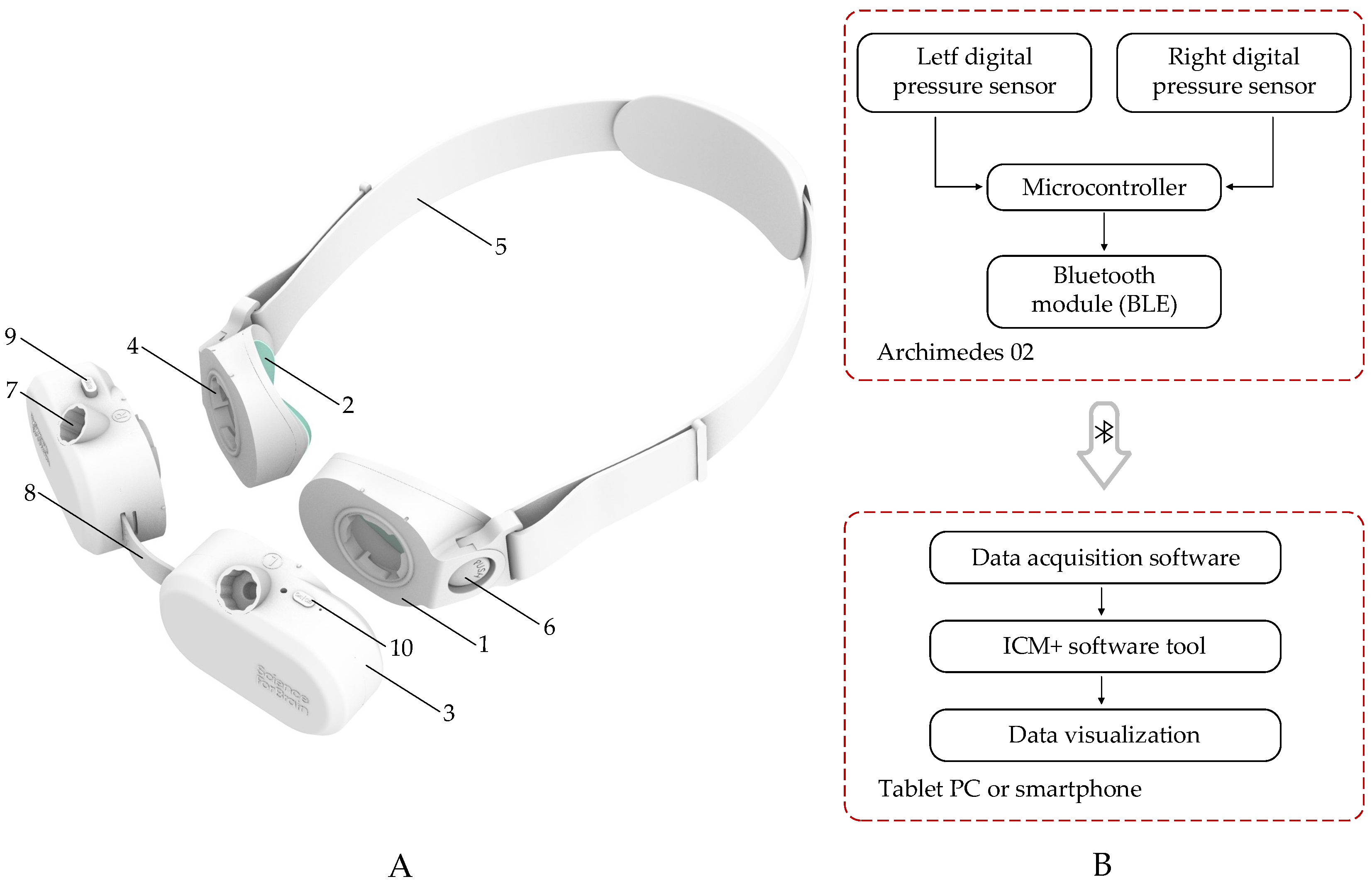 First-in-Human Prospective, Observational, and Comparative Clinical ...
