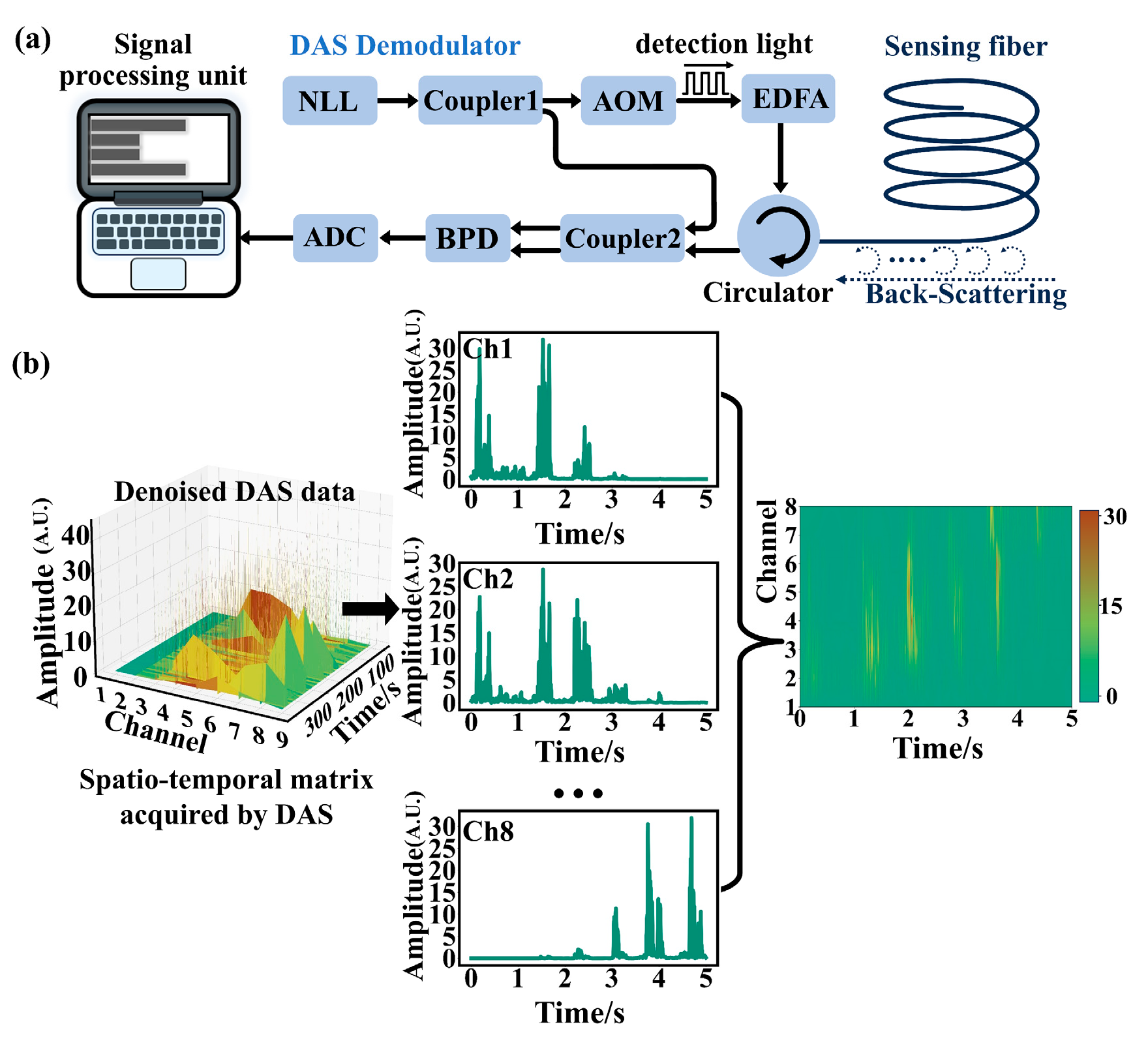MAEPD: A Foundation Model for Distributed Acoustic Sensing Signal ...