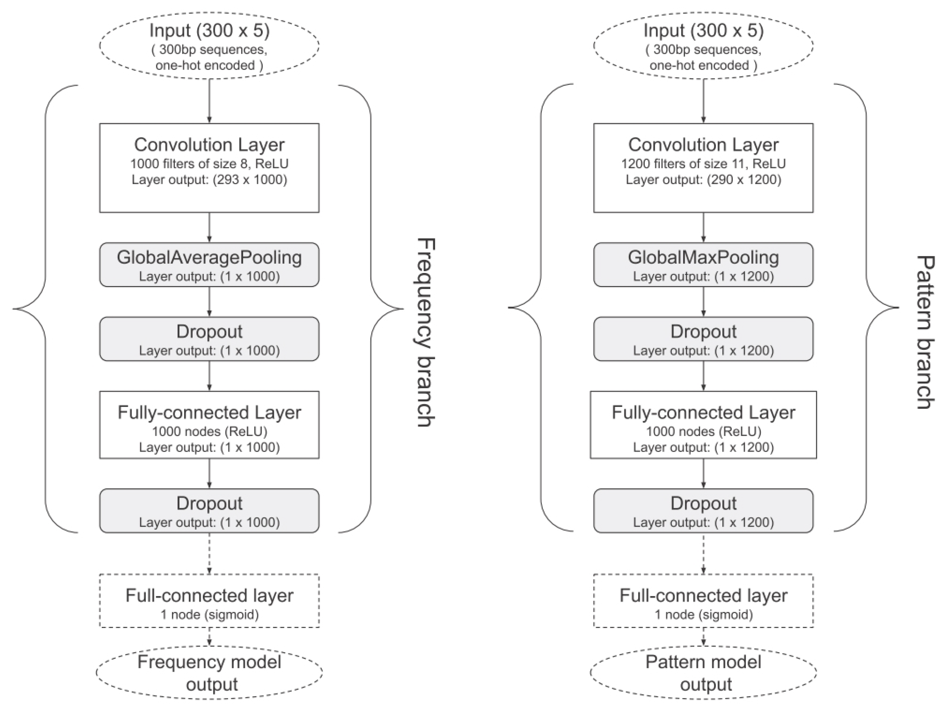 Ensemble Deep Learning Models on Raw DNA Sequences for Viral Genome ...