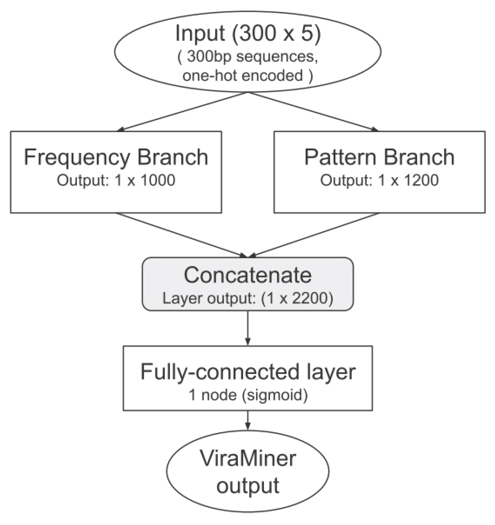 Ensemble Deep Learning Models on Raw DNA Sequences for Viral Genome ...