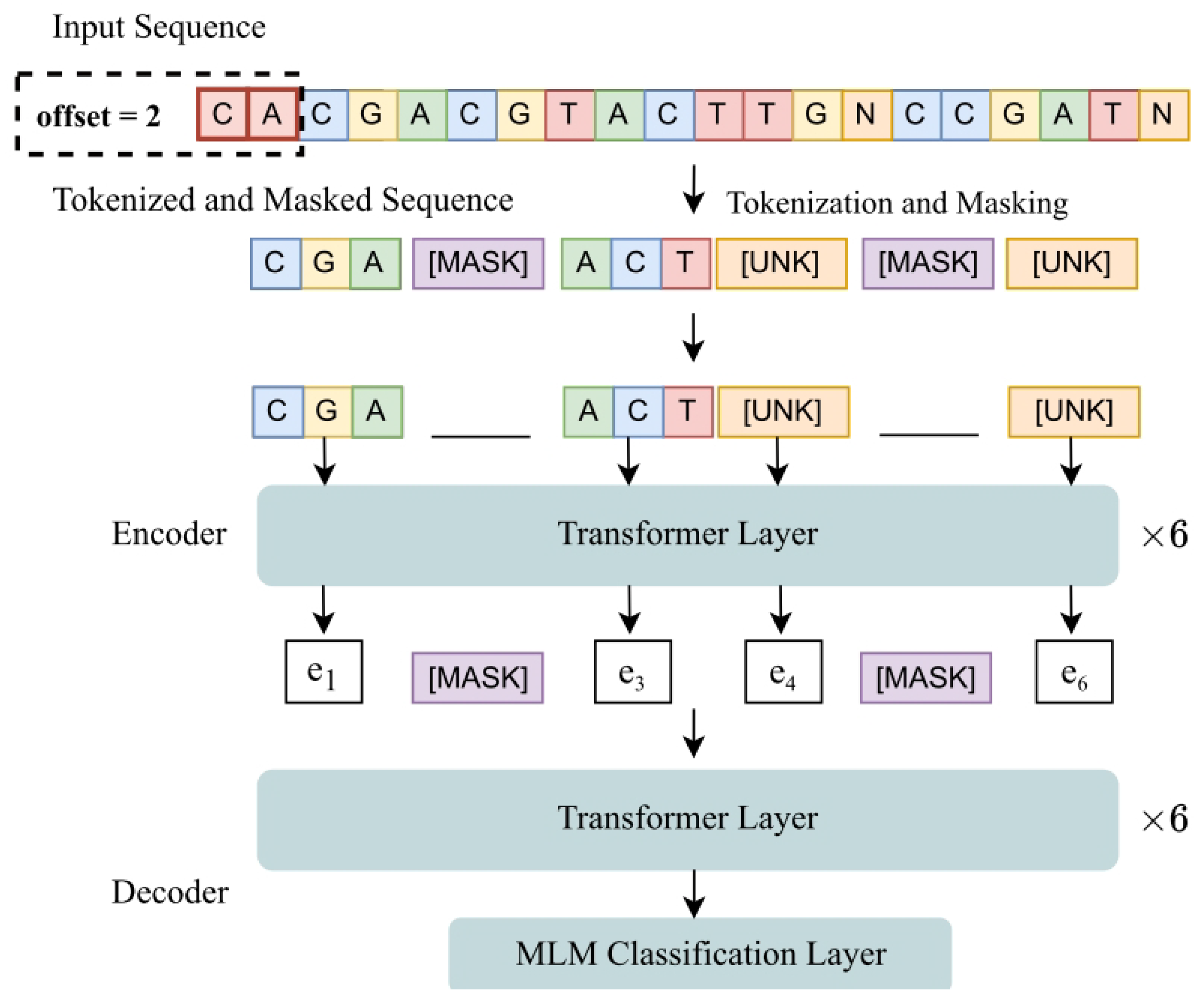 Ensemble Deep Learning Models on Raw DNA Sequences for Viral Genome ...