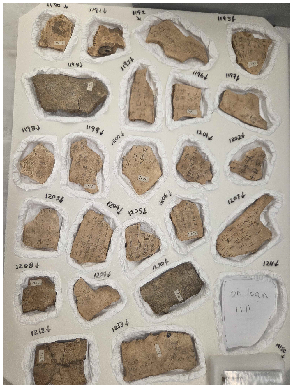 Efficient Mesh Reconstruction and Texturing of Oracle Bones