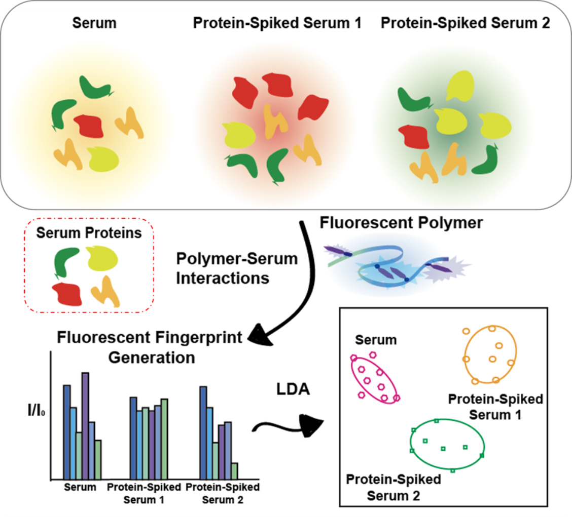 A Sensitive Multichannel Fluorescent Polymer Sensor Array for the ...