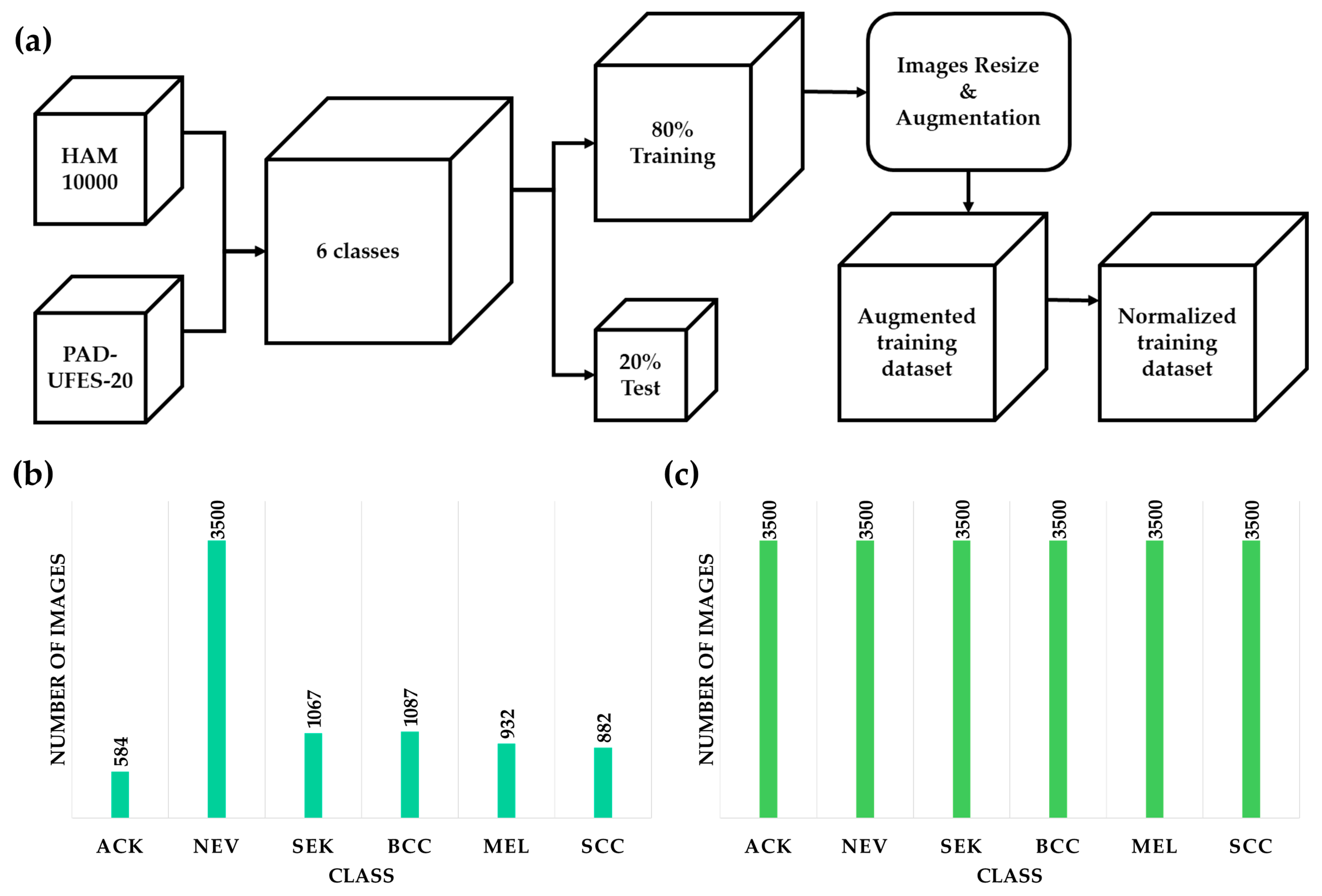 Hierarchical Deep Learning Framework for Skin Disease and Cancer ...