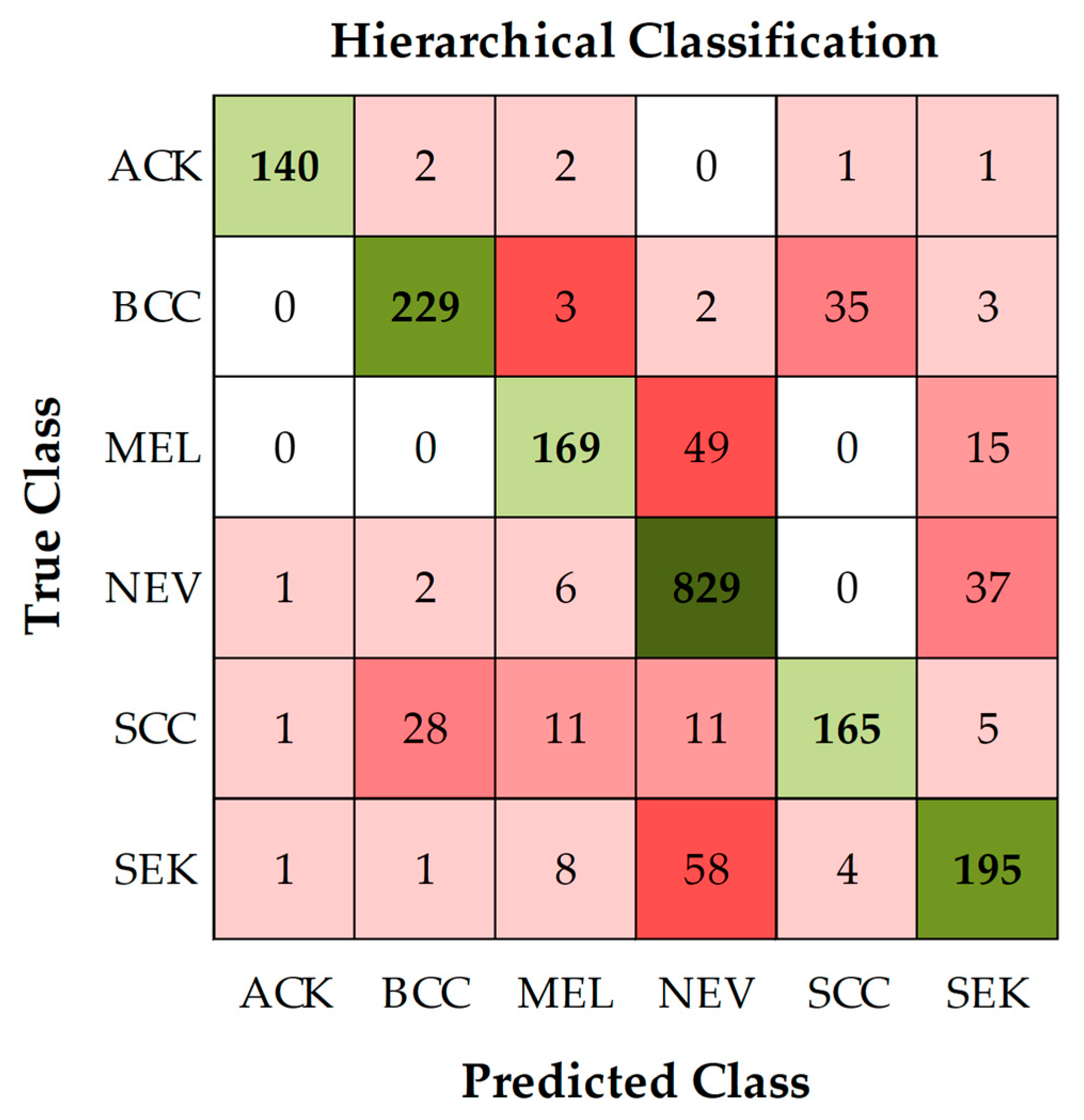 Hierarchical Deep Learning Framework for Skin Disease and Cancer ...