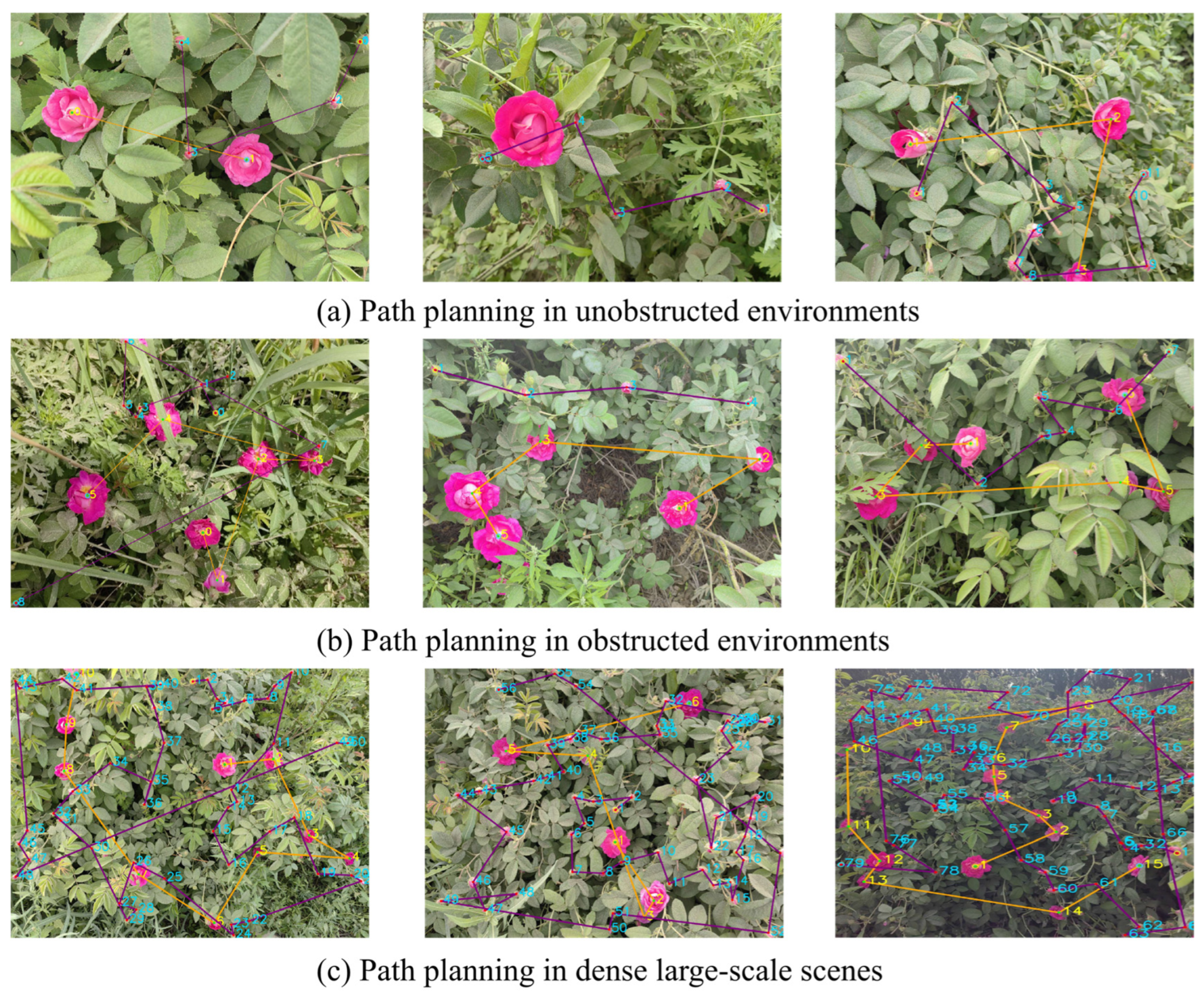 Lightweight Detection and Adaptive Path Planning for Selective Hotan ...