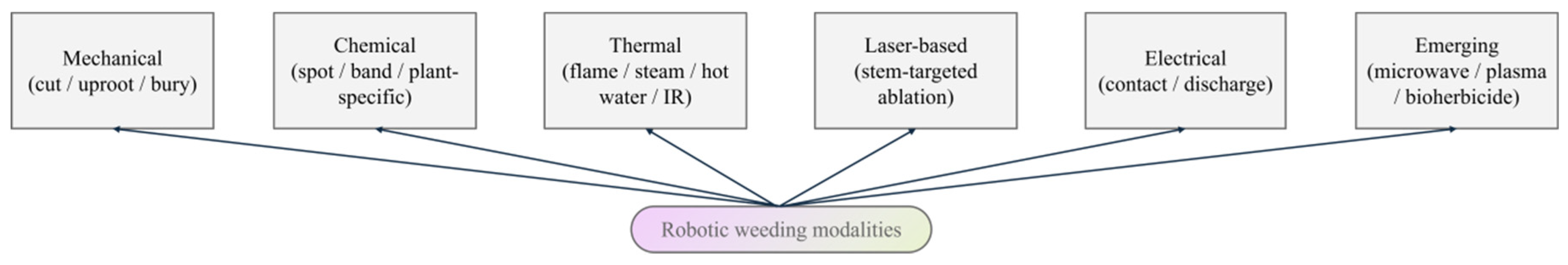A Review of Robotic Weeding Modalities for Site-Specific Weed Management