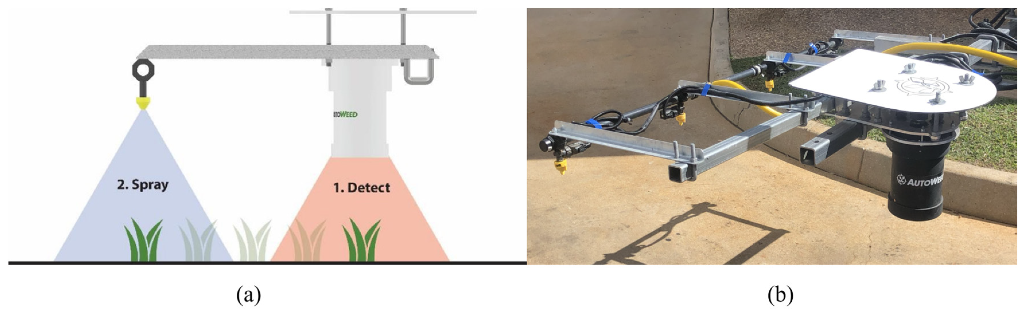 A Review of Robotic Weeding Modalities for Site-Specific Weed Management