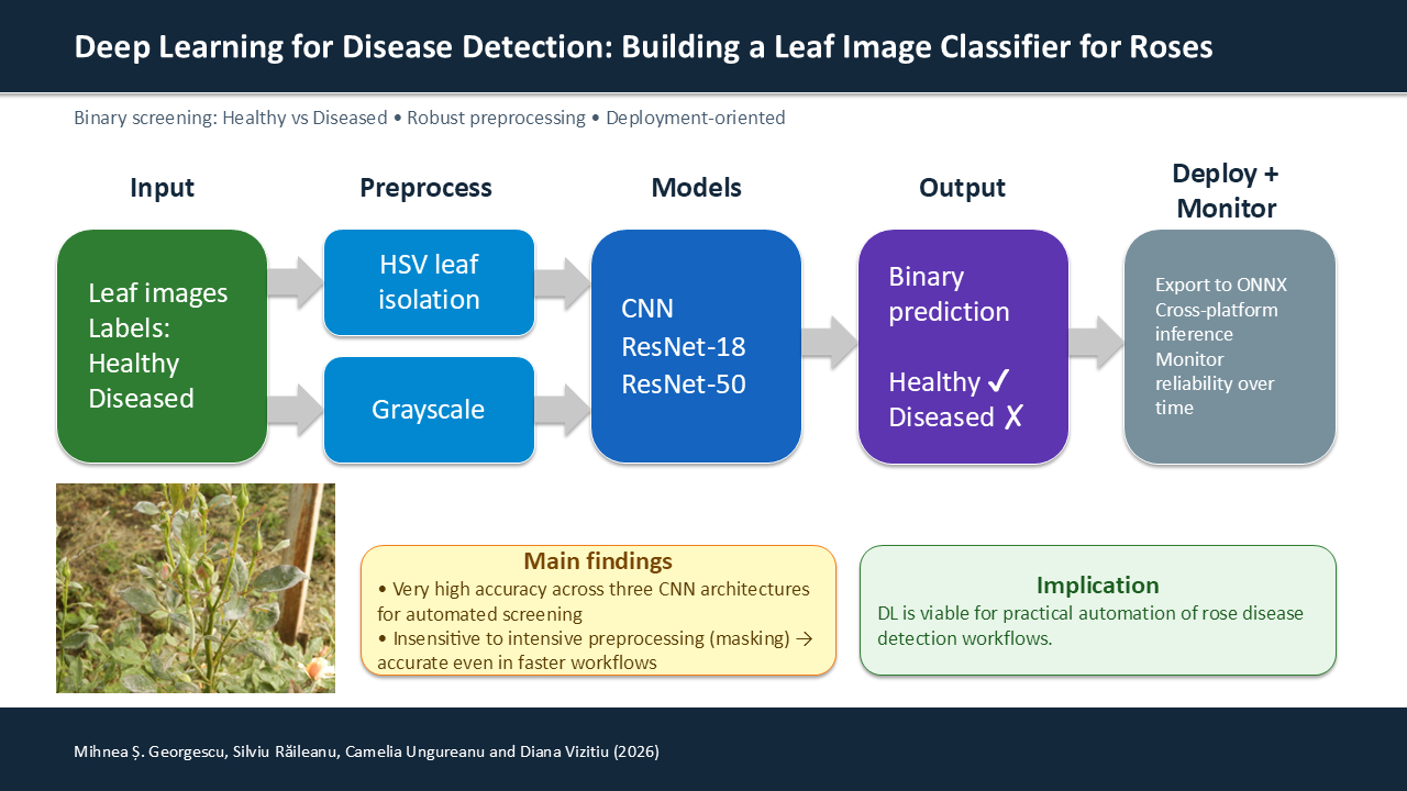 Rose Flower Classification Using Machine Learning Deep Learning for Disease Detection: Building a Leaf Image Classifier ...