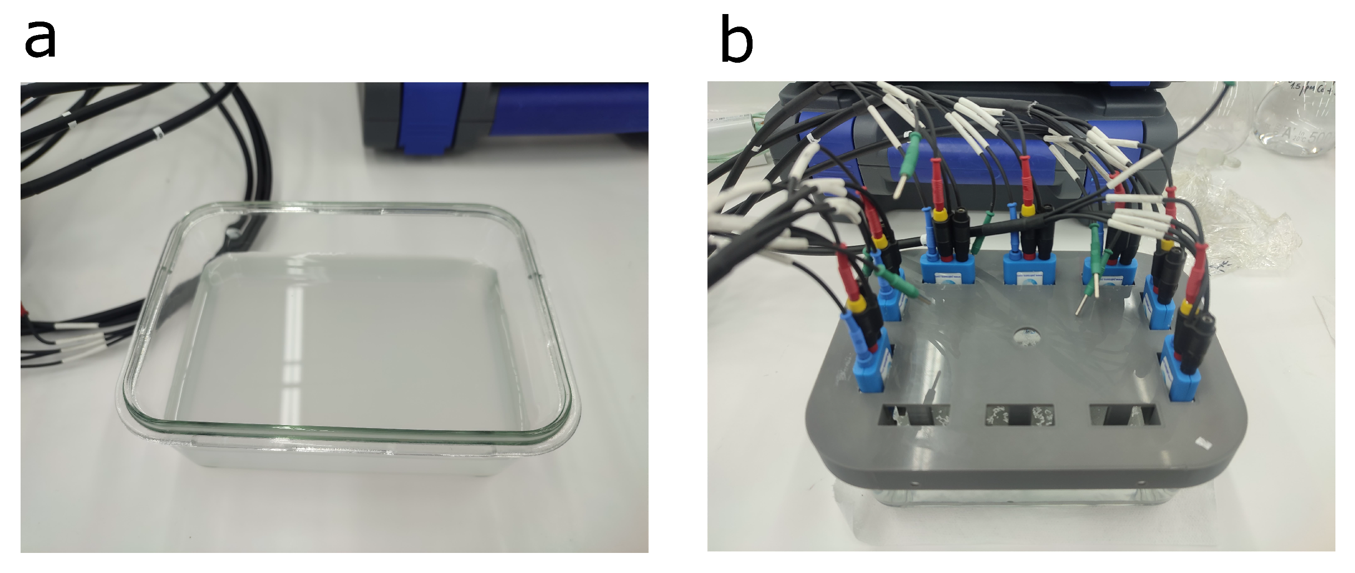 Detection of Microplastics and Heavy Metals Using Electronic Tongues ...