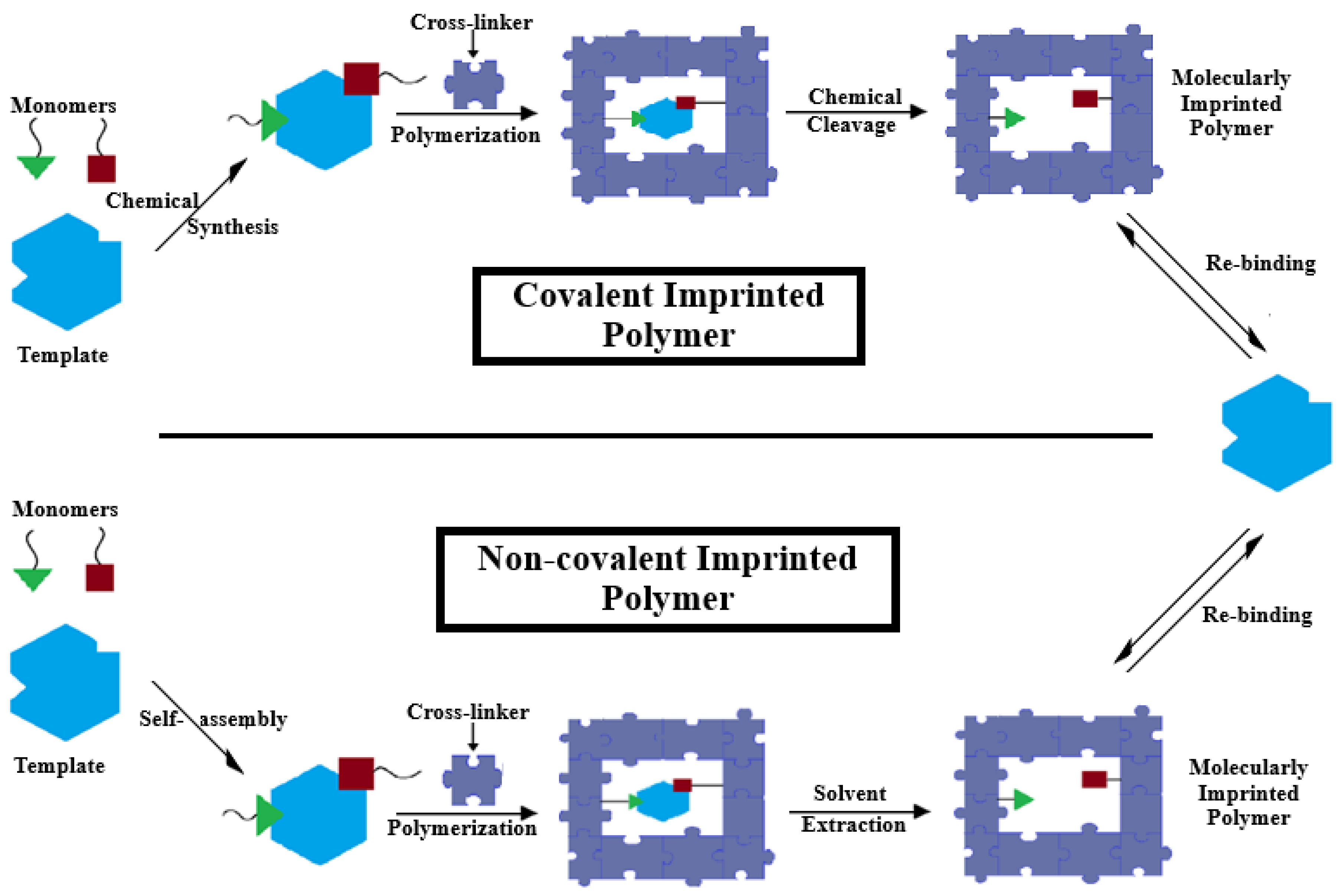 Molecularly Imprinted Polymer (MIP)-Based Electrochemical Sensors for ...