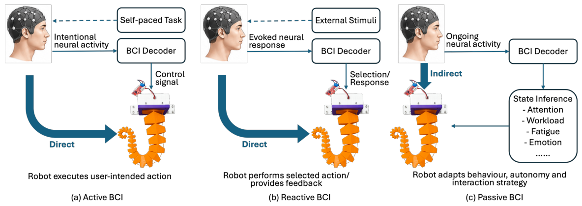 Ratbot Brain Computer Interface Rethinking Brain–Computer Interfaces for Soft Robotic Systems: A ...