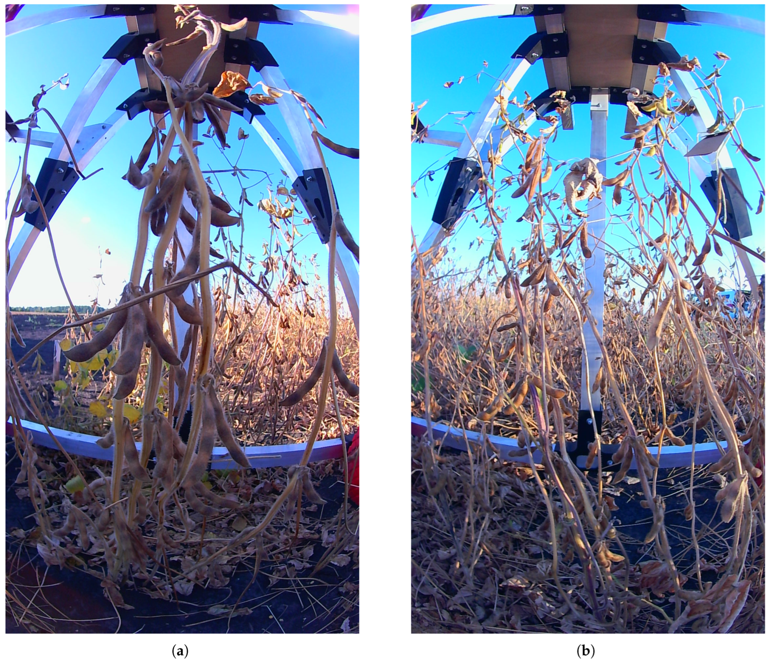 Automated Ranking of Soybean Plots from Close-Range RGB Video via Depth ...