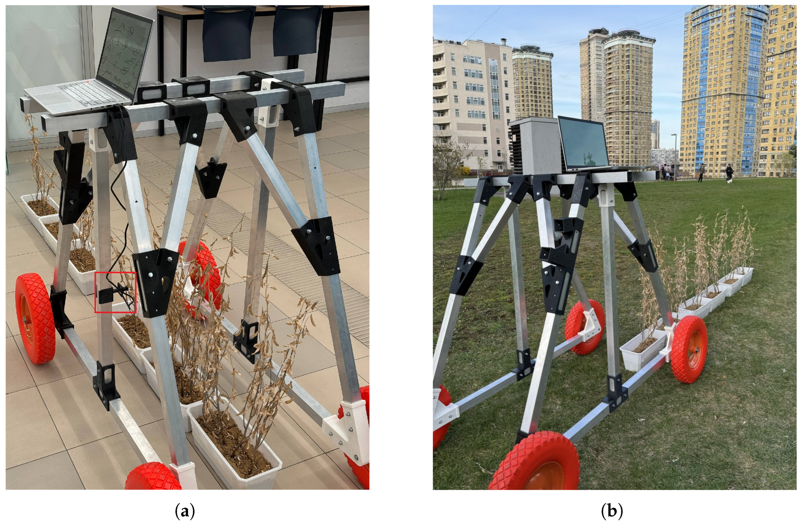 Automated Ranking of Soybean Plots from Close-Range RGB Video via Depth ...