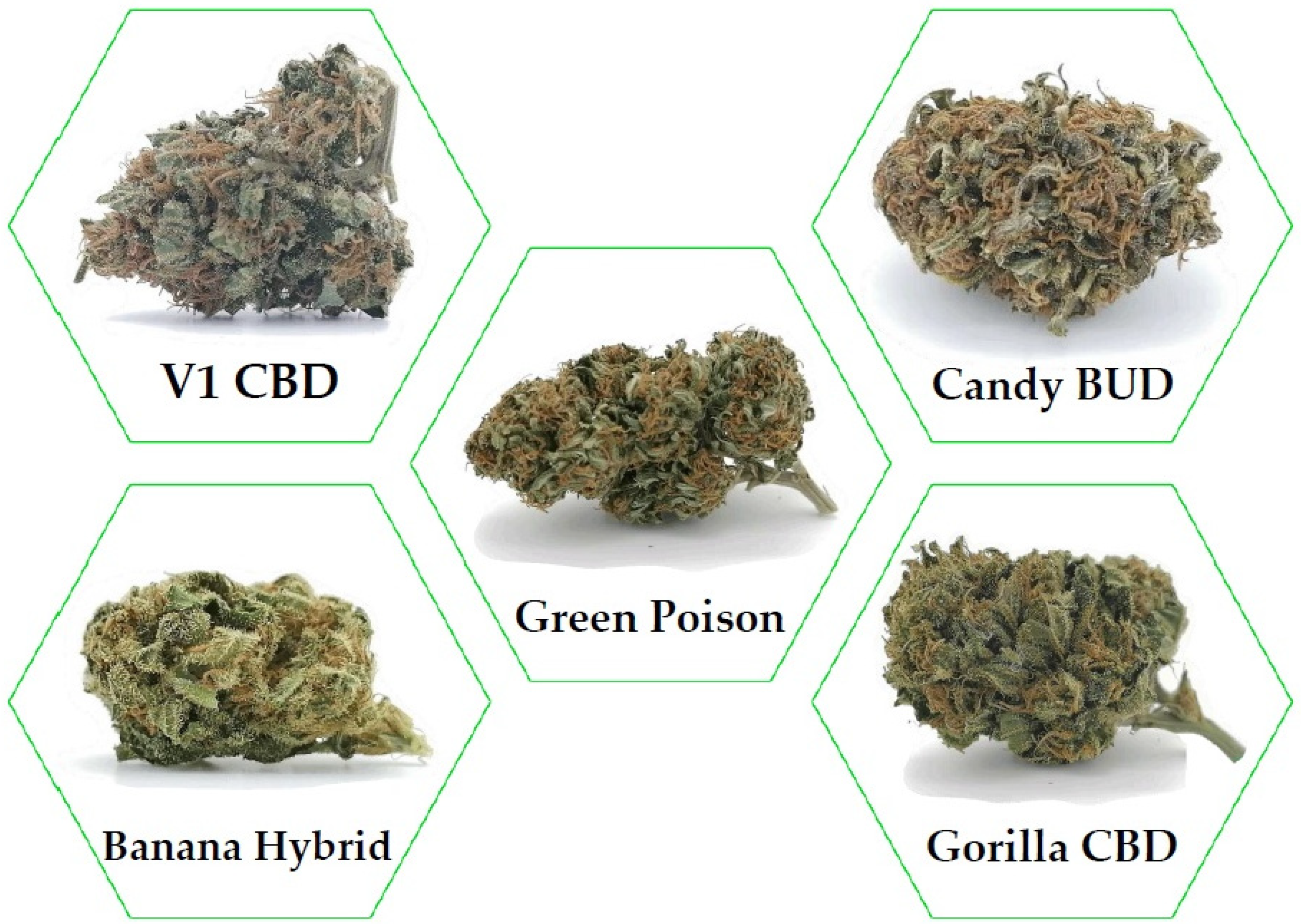 different types of weed