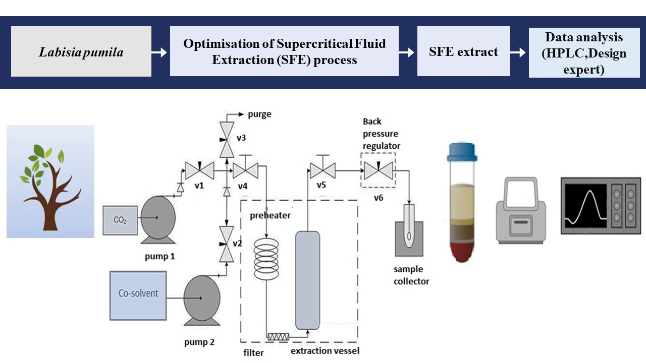 supercritical fluid extraction