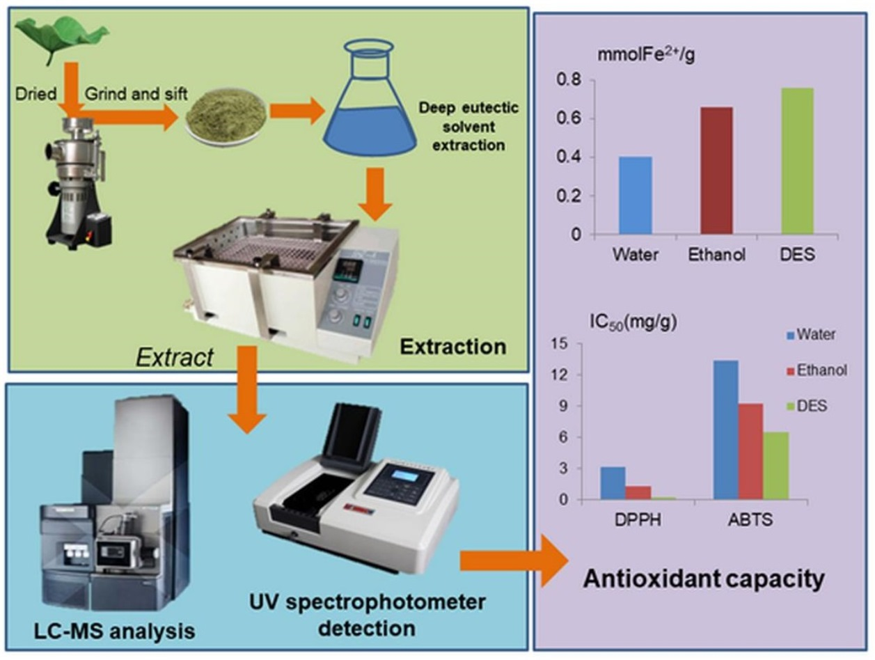 Enzyme-Assisted Extraction of Nuciferine and Quercetin from Lotus Leaves  Using the Aqueous-Based Method: A Sustainable Approach