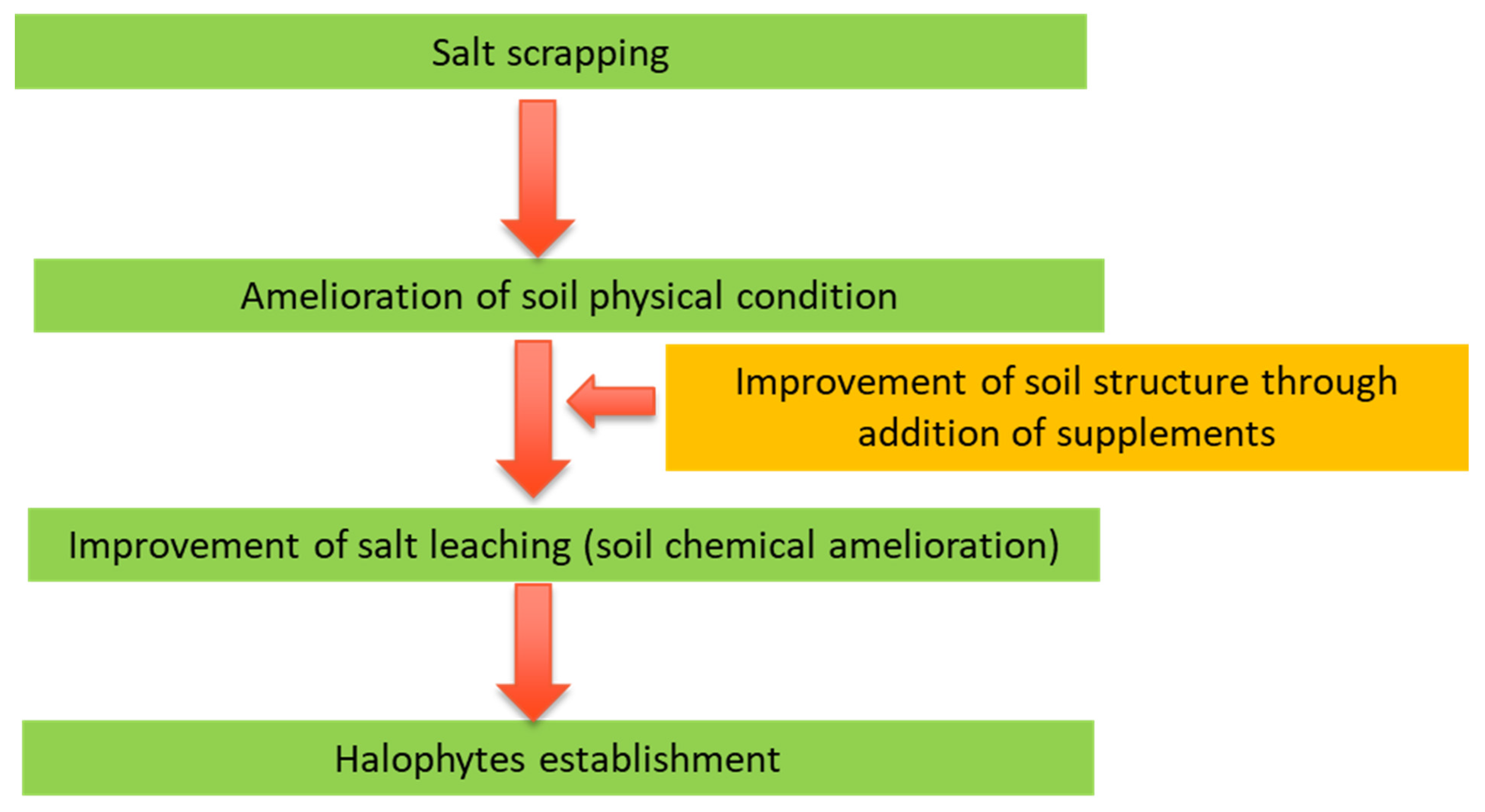 III. Benefits of Hens in Enhancing Soil Structure