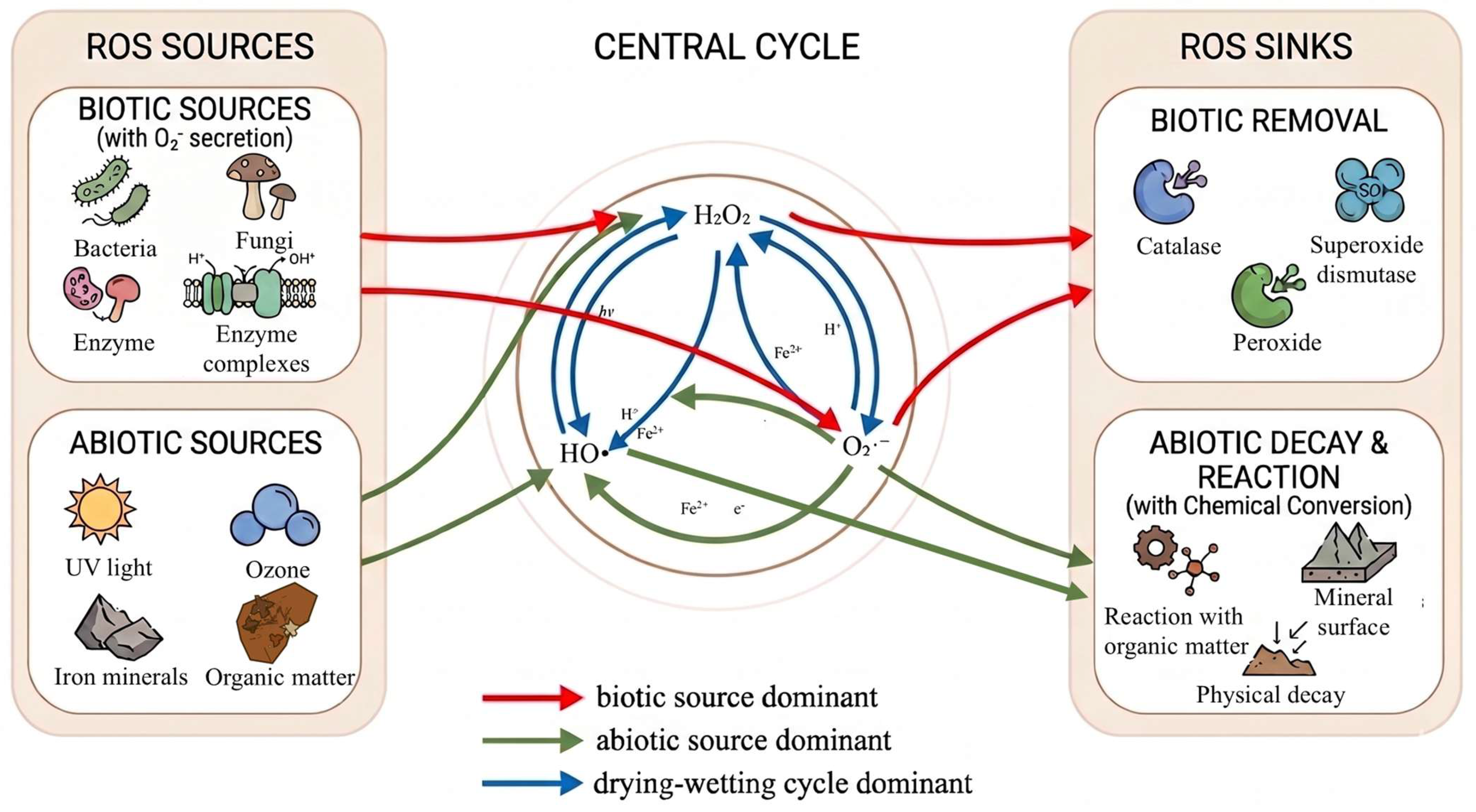 Reactive Oxygen Species in Soil: A Comprehensive Review
