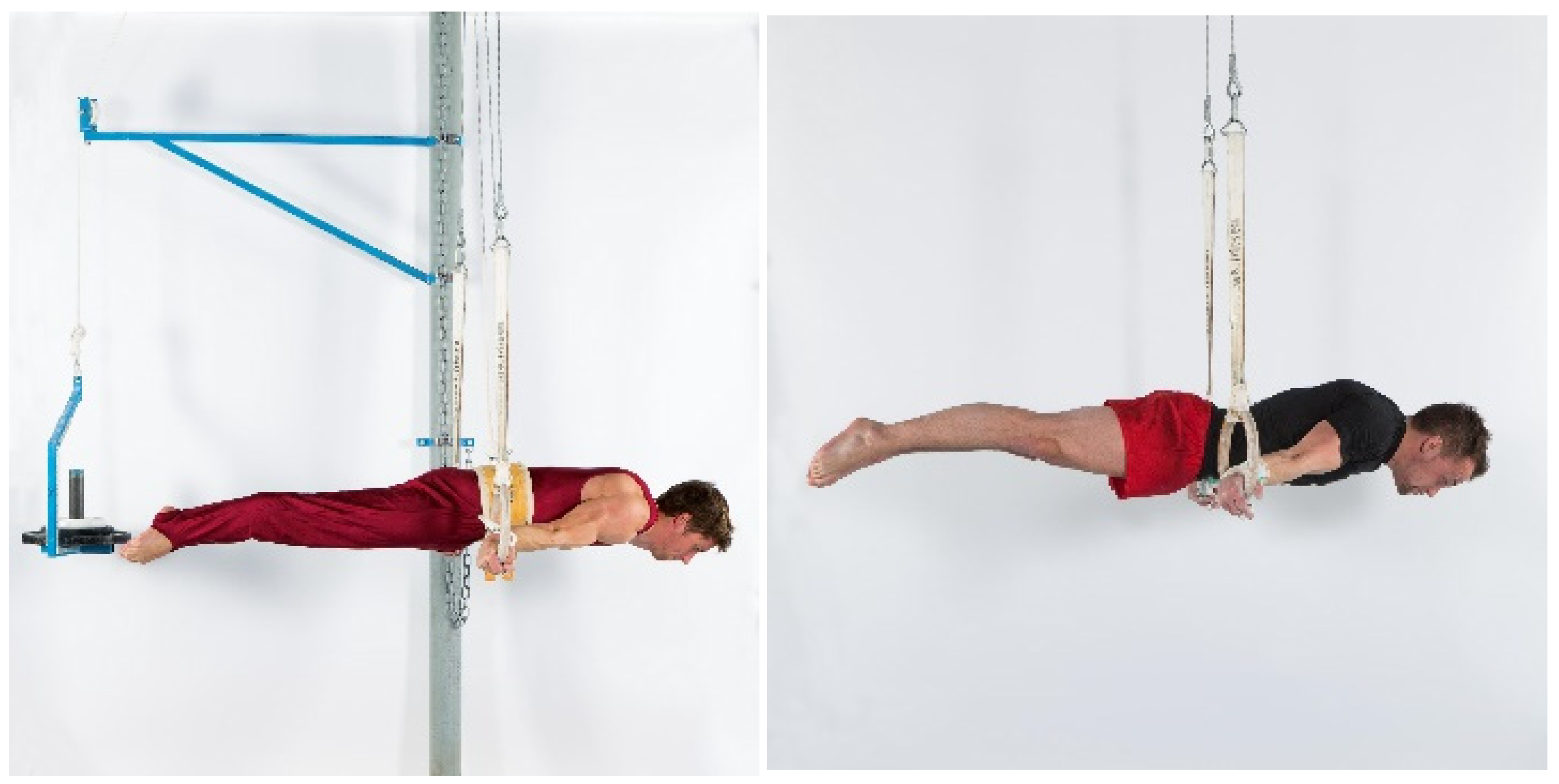 Gymnastic Rings 101: A Beginner's Routine & FAQs