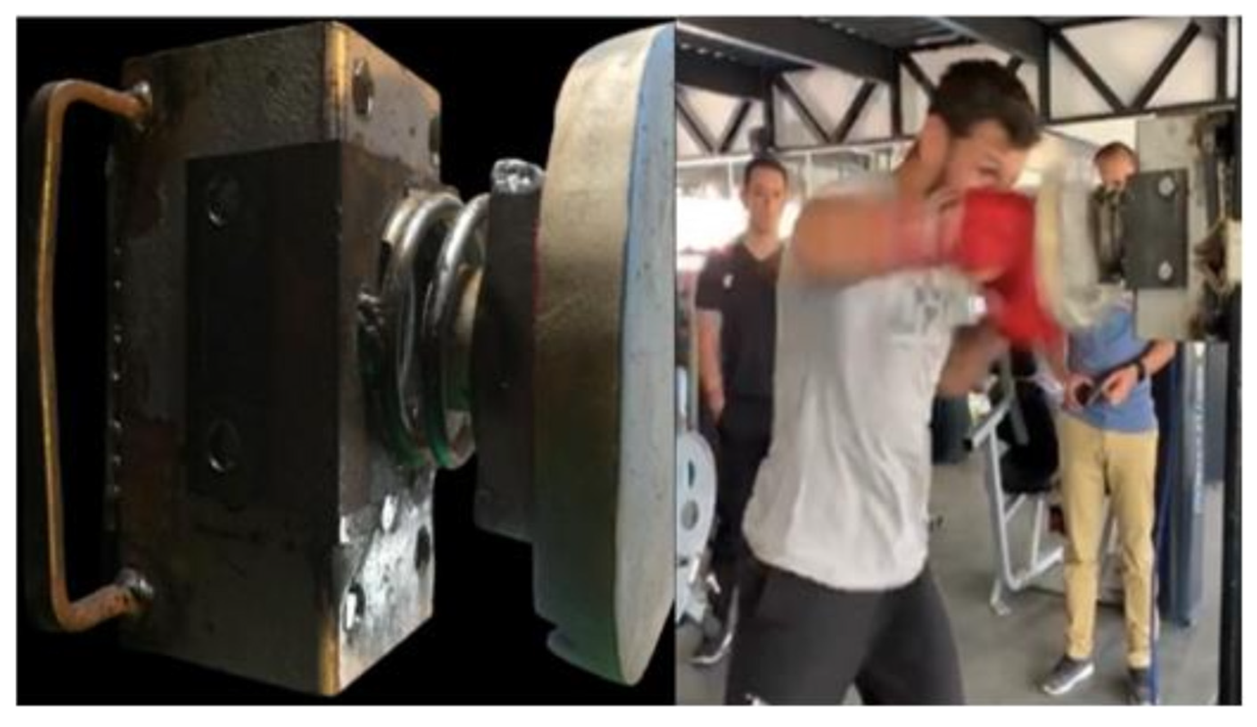 Sports Free Full-Text Profiling the Physical Performance of Young Boxers with Unsupervised Machine Learning A Cross-Sectional Study