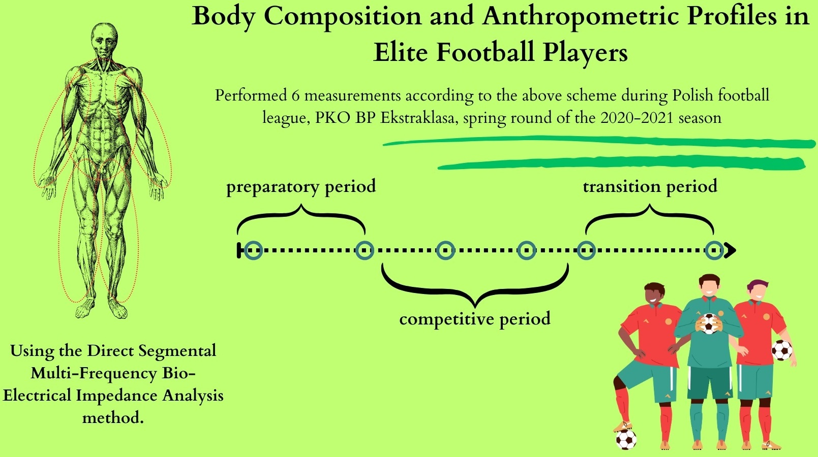 Understanding Body Composition Measurements