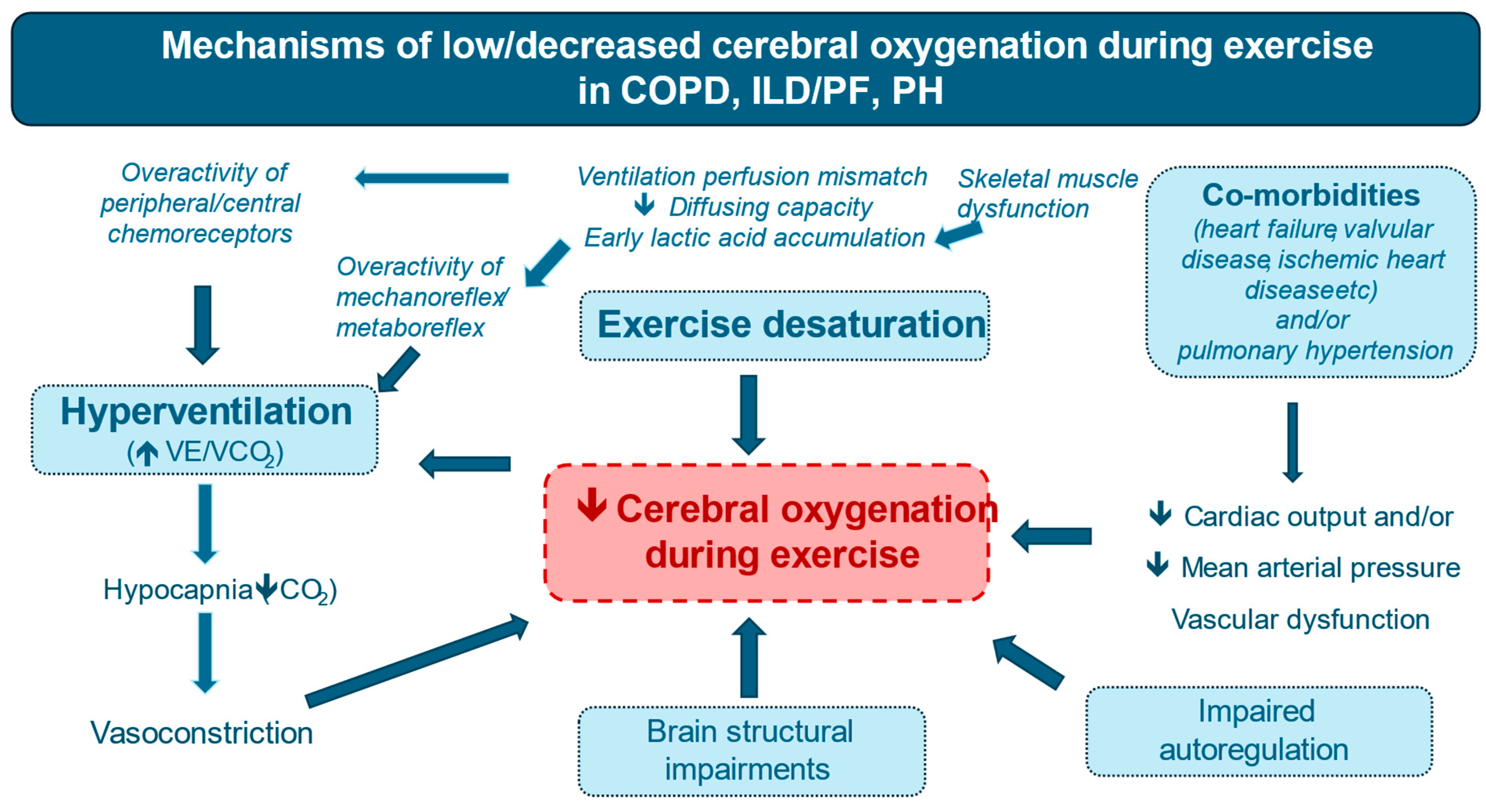 Brain Oxygenation During Exercise in Different Types of Chronic Lung ...