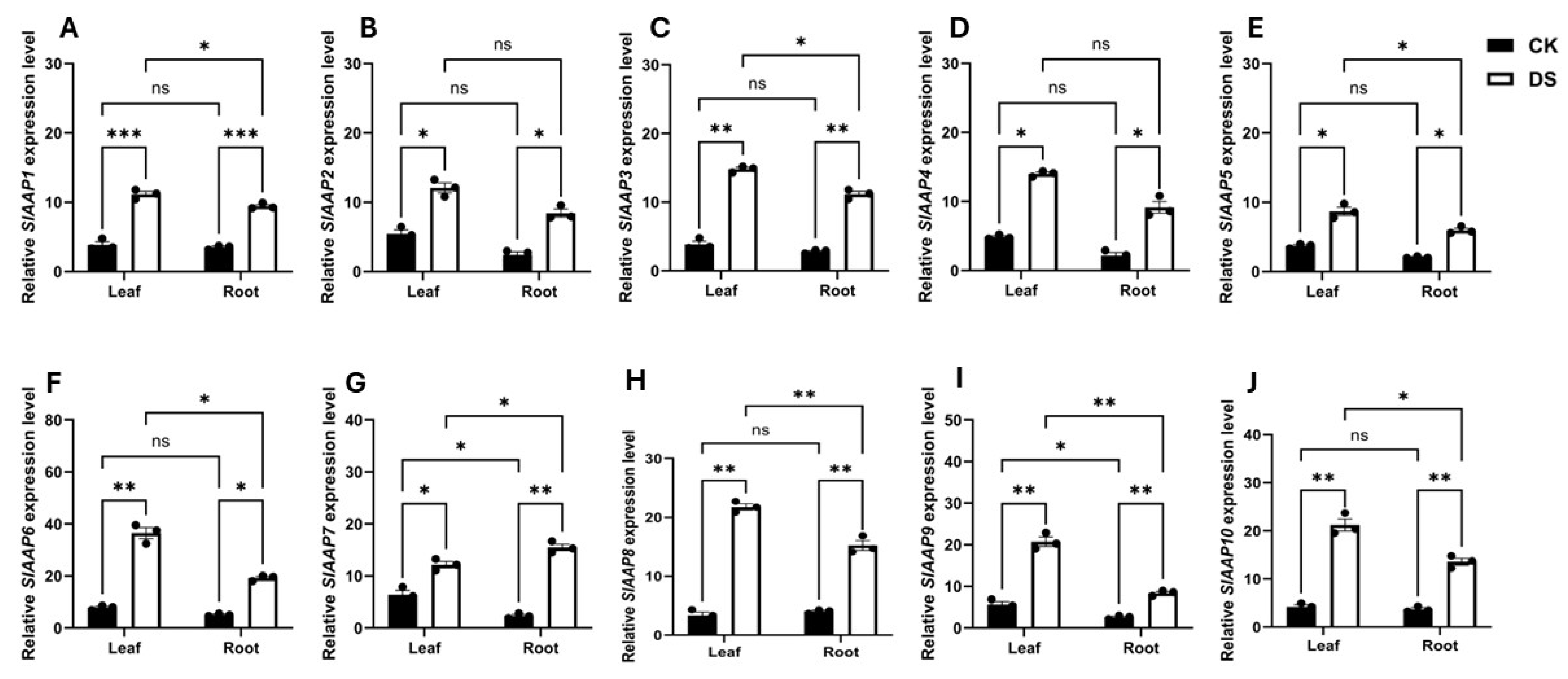 Genome-Wide Analysis of Amino Acid Permease Gene Family in Solanum ...