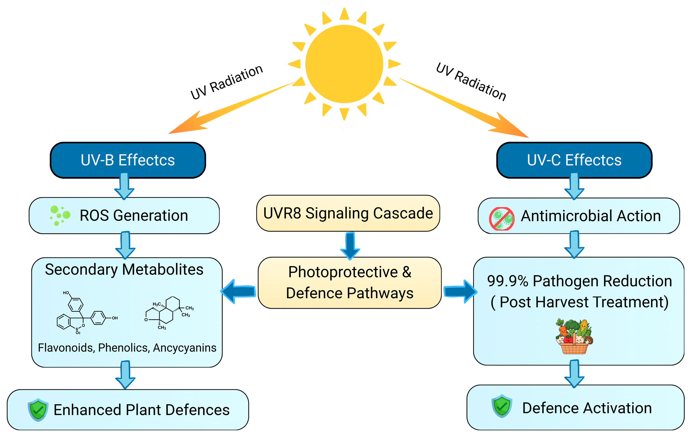 From Gut to Green: Cross-Kingdom Adaptation of Human Pathogens in Plant ...