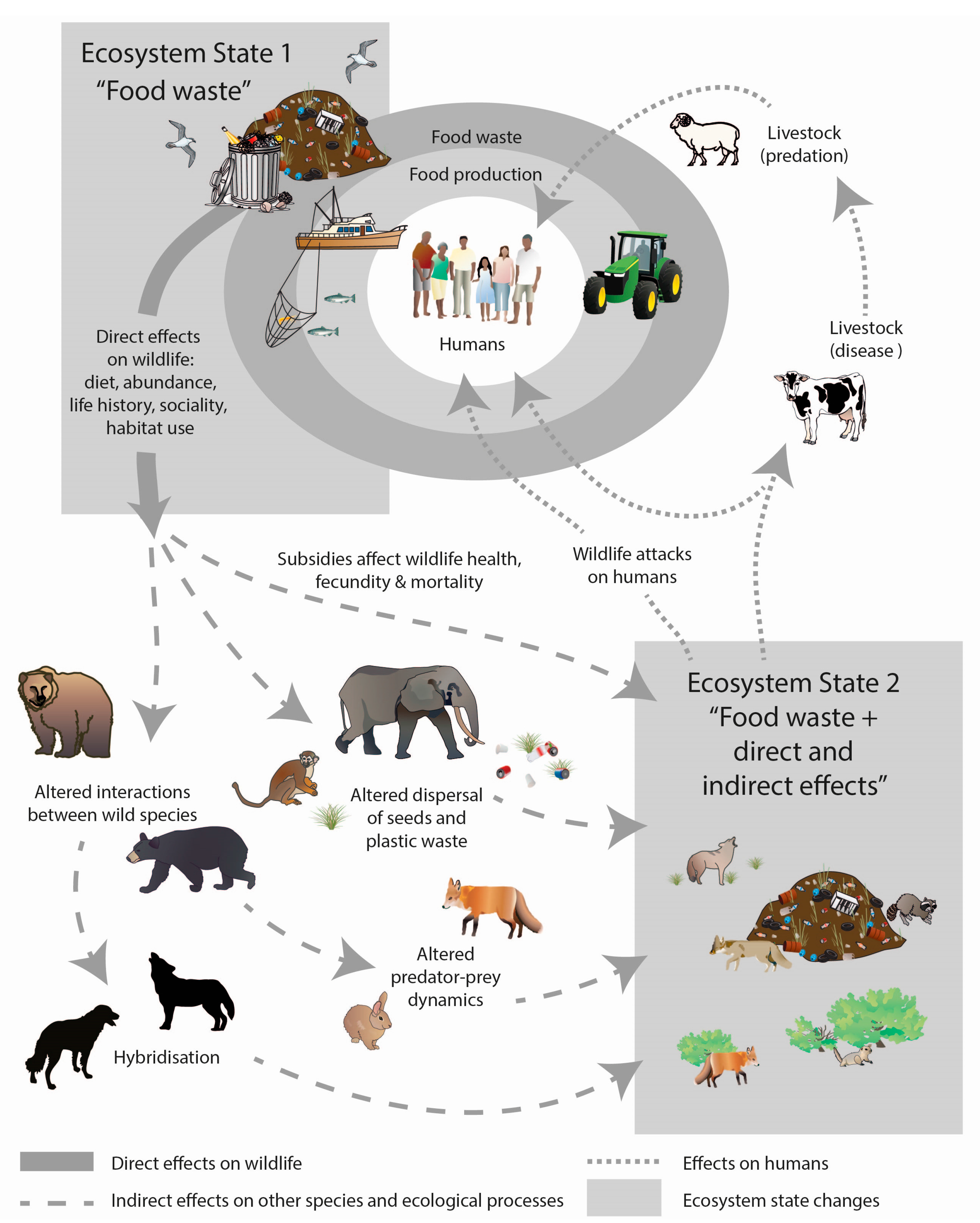 Sustainability | Free Full-Text | The Effects of Food Waste on Wildlife and  Humans