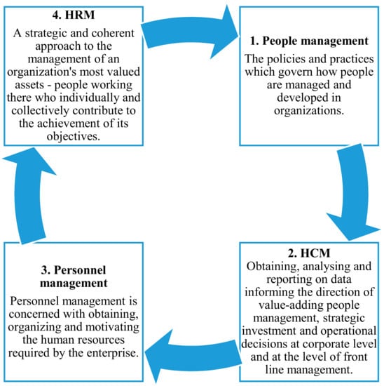 Sustainability | Free Full-Text | Human Capital Management in Transport ...