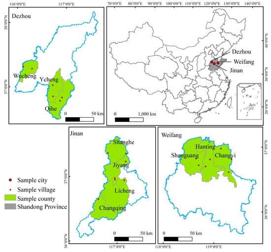 Sustainability | Free Full-Text | Knowing and Doing: The Perception of ...