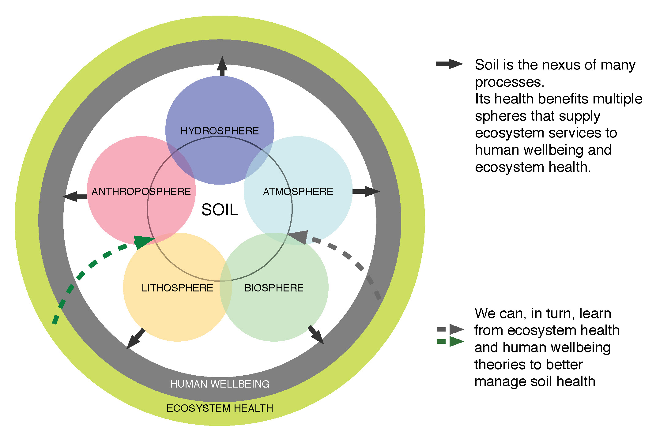 understanding ecosystem for health and well being essay
