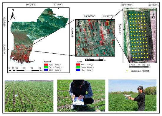 Estimating the Leaf Area Index of Winter Wheat Based on Unmanned Aerial ...