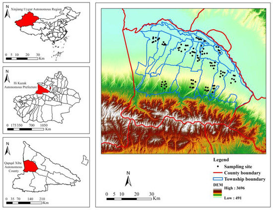 Spatial Distribution Characteristics of Soil Salinity and Moisture and ...