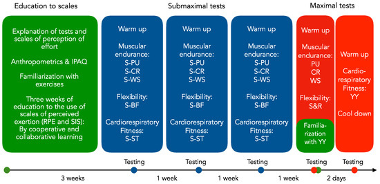 Validity of Criterion-Referenced Standards for Senior Fitness Test