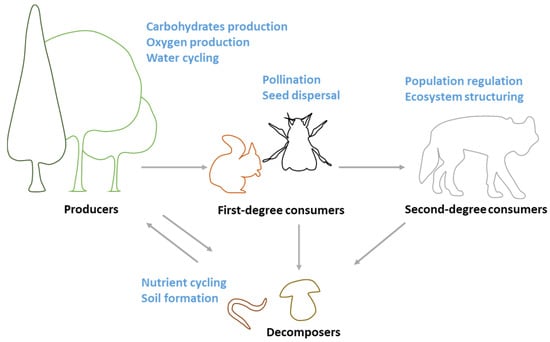 Sustainability | Free Full-Text | Kindergarten Children’s Perception ...