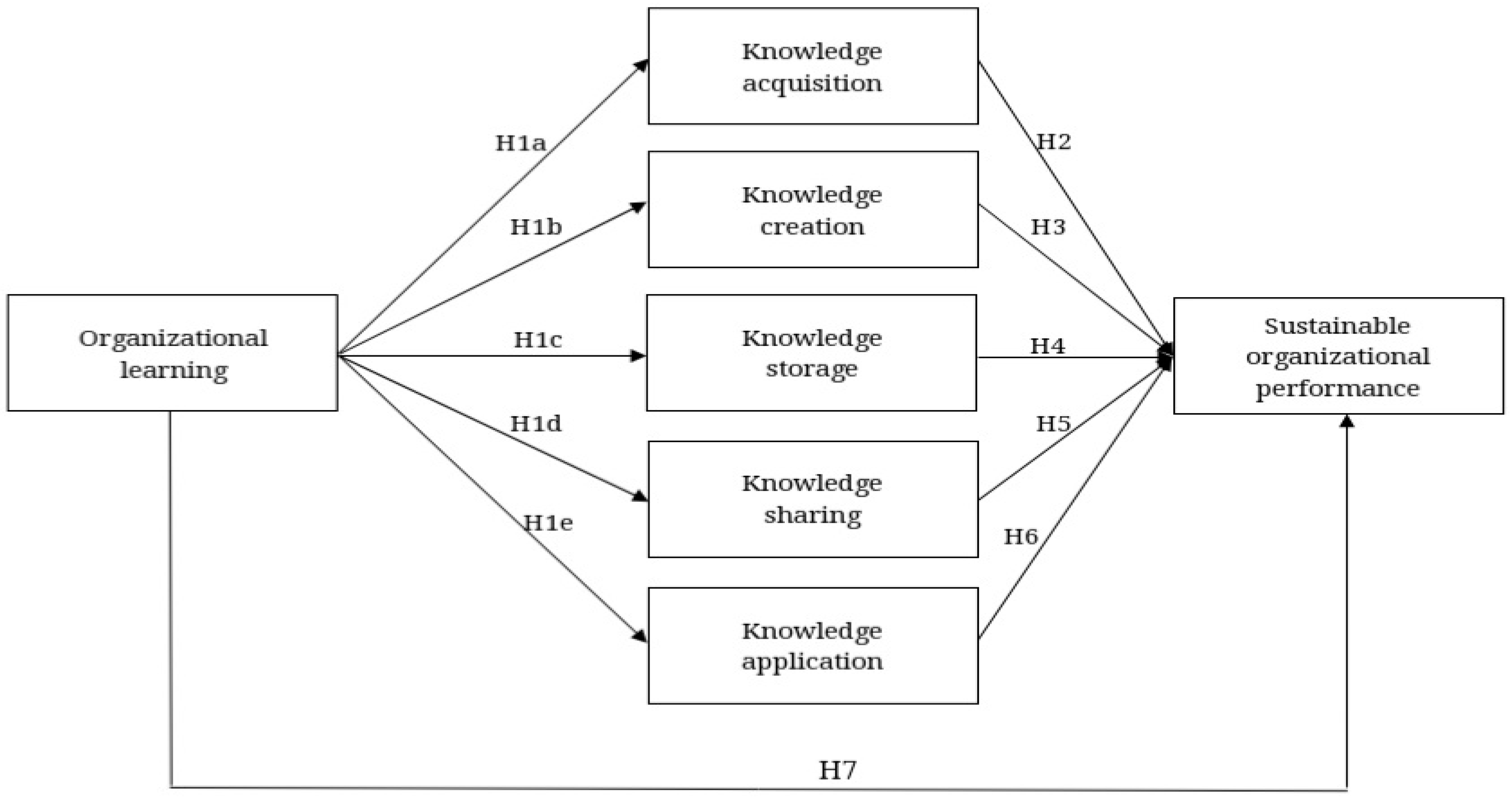 dissertation organizational learning
