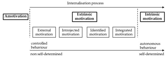 Sustainability | Free Full-Text | Meanings and Motives for Consumers ...